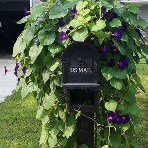 See anything you like?  Make me an offer